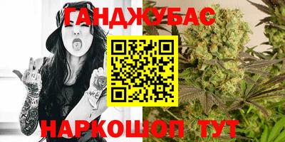 индика Камышлов