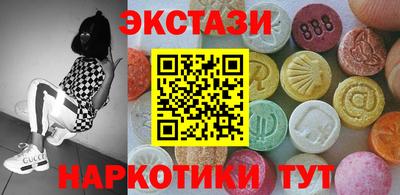 индика Камышлов