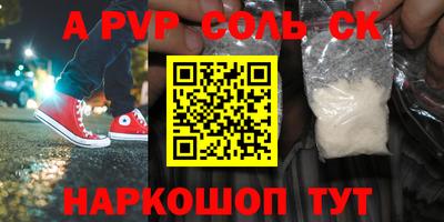индика Камышлов