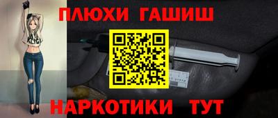 индика Камышлов