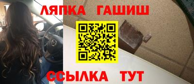 индика Камышлов