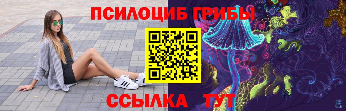 Галлюциногенные грибы Psilocybe  наркошоп  Кызыл  Вход с VPN  Галлюциногенные грибы Psilocybe 