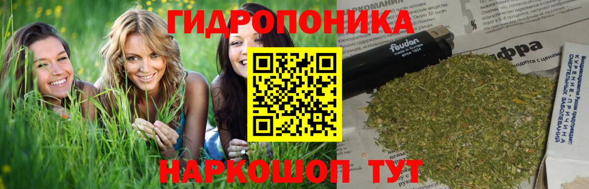Бошки Шишки семена Кызыл